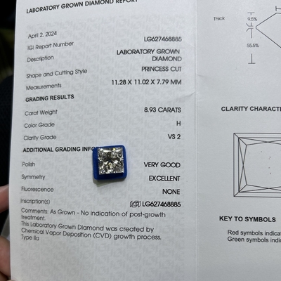 কেনা 8.93CT H রঙ VS2 স্পষ্টতা 2EX সিভিডি ল্যাব প্রাপ্তবয়স্ক রাজকুমারী কাটা ডায়মন্ড online manufacture